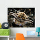 Facial Predatory Bobbit Worm Wall Decal
