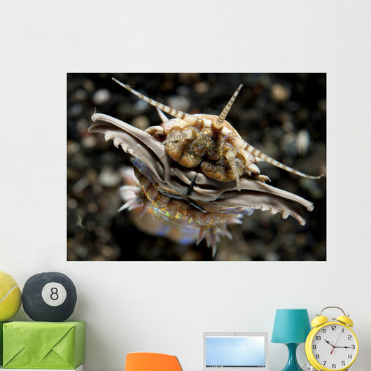 Facial Predatory Bobbit Worm Wall Decal