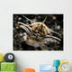 Facial Predatory Bobbit Worm Wall Decal
