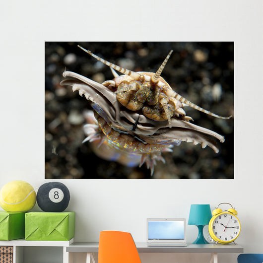 Facial Predatory Bobbit Worm Wall Decal