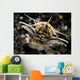 Facial Predatory Bobbit Worm Wall Decal