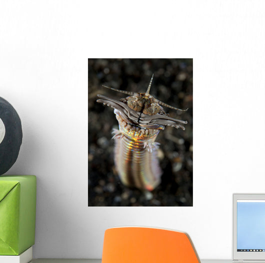 Facial and Body Predatory Wall Decal