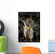 Facial and Body Predatory Wall Decal
