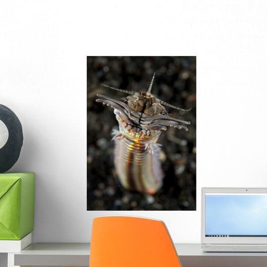 Facial and Body Predatory Wall Decal