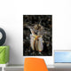 Facial and Body Predatory Wall Decal