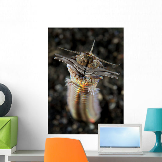 Facial and Body Predatory Wall Decal
