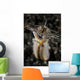 Facial and Body Predatory Wall Decal