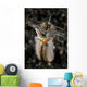 Facial and Body Predatory Wall Decal