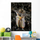 Facial and Body Predatory Wall Decal