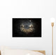 Reticulate Stargazer Buried Sand Wall Decal