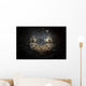 Reticulate Stargazer Buried Sand Wall Decal