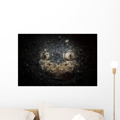 Reticulate Stargazer Buried Sand Wall Decal shown on a wall
