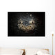 Reticulate Stargazer Buried Sand Wall Decal