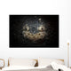 Reticulate Stargazer Buried Sand Wall Decal