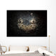 Reticulate Stargazer Buried Sand Wall Decal