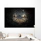 Reticulate Stargazer Buried Sand Wall Decal
