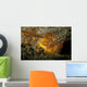 Ambon Scorpionfish Lembeh Strait Wall Decal Design 2