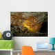 Ambon Scorpionfish Lembeh Strait Wall Decal Design 2