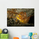 Ambon Scorpionfish Lembeh Strait Wall Decal Design 2