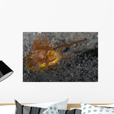 Ambon Scorpionfish Lembeh Strait Wall Decal Design 1 shown on a wall