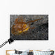 Ambon Scorpionfish Lembeh Strait Wall Decal Design 1