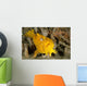 Frogfish with Large Lure Wall Decal Design 3
