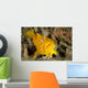 Frogfish with Large Lure Wall Decal Design 3