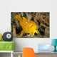 Frogfish with Large Lure Wall Decal Design 3