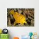 Frogfish with Large Lure Wall Decal Design 3