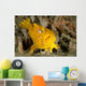 Frogfish with Large Lure Wall Decal Design 3