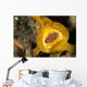 Frogfish with Large Lure Wall Decal Design 2