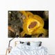 Frogfish with Large Lure Wall Decal Design 2