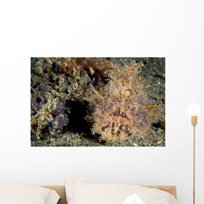 Red and Pink Striated Wall Decal shown on a wall