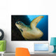 Large Green Turtle Swims Wall Decal