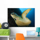 Large Green Turtle Swims Wall Decal