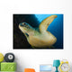 Large Green Turtle Swims Wall Decal