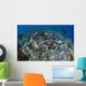 Reef Top Seascape Bunaken Wall Decal