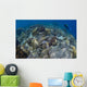 Reef Top Seascape Bunaken Wall Decal