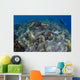 Reef Top Seascape Bunaken Wall Decal