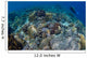 Reef Top Seascape Bunaken Wall Decal