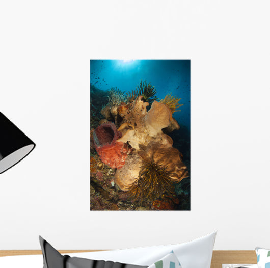 Crinoids Adorn Large Sponges Wall Decal
