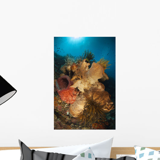 Crinoids Adorn Large Sponges Wall Decal