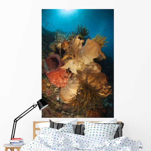 Crinoids Adorn Large Sponges Wall Decal
