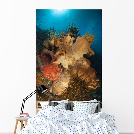 Crinoids Adorn Large Sponges Wall Decal