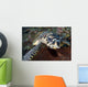 Close-up Head Hawksbill Sea Wall Decal Design 2