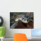 Close-up Head Hawksbill Sea Wall Decal Design 2