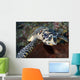 Close-up Head Hawksbill Sea Wall Decal Design 2