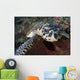 Close-up Head Hawksbill Sea Wall Decal Design 2