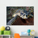 Close-up Head Hawksbill Sea Wall Decal Design 2