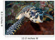 Close-up Head Hawksbill Sea Wall Decal Design 2